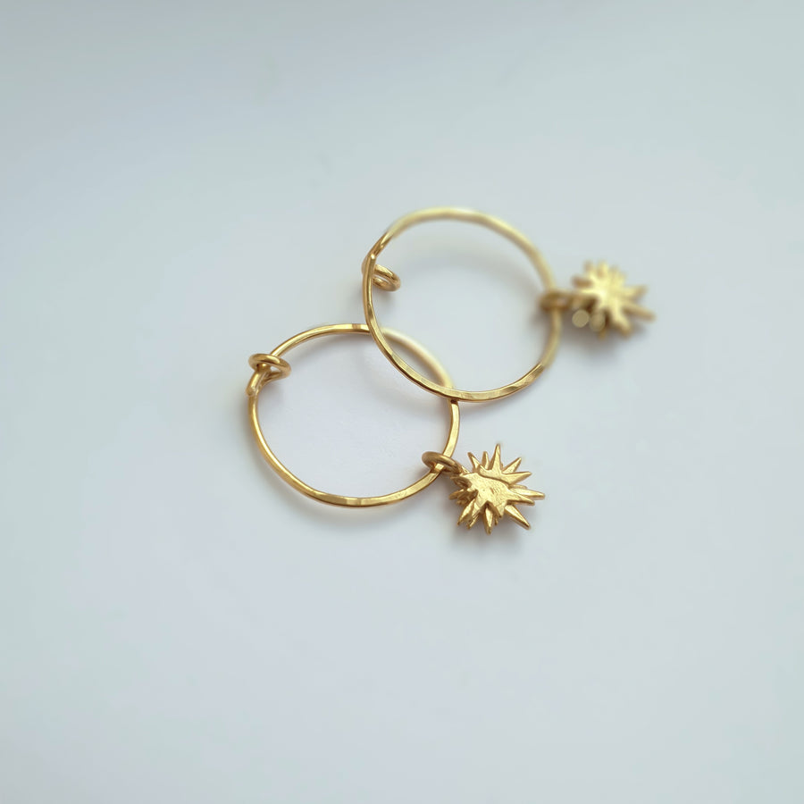 Gold Plated Sterling Silver Hoops and Star Earrings